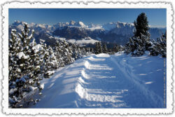 Weihnachtskarte 03: Der Schneeweg am Rittner Horn