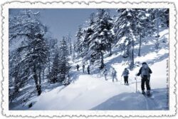 Weihnachtskarte 02: Skitour durch den Winterwald