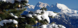 erholsame Tage Weihnachtskarte Schnee Baum Eiskristalle Berge