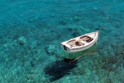 Die Leichtigkeit des Seins: Ein Bott scheint über dem Wasser zu schweben