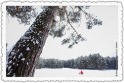 Weihnachtskarte 10: Die Schneewanderung