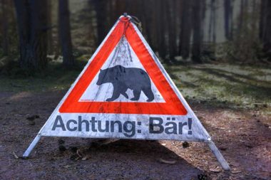 Gefahr Wald Warnschild Bär Angst / Foto: TELOS - IMG_B0915bg